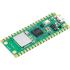 Raspberry Pi Pico W
